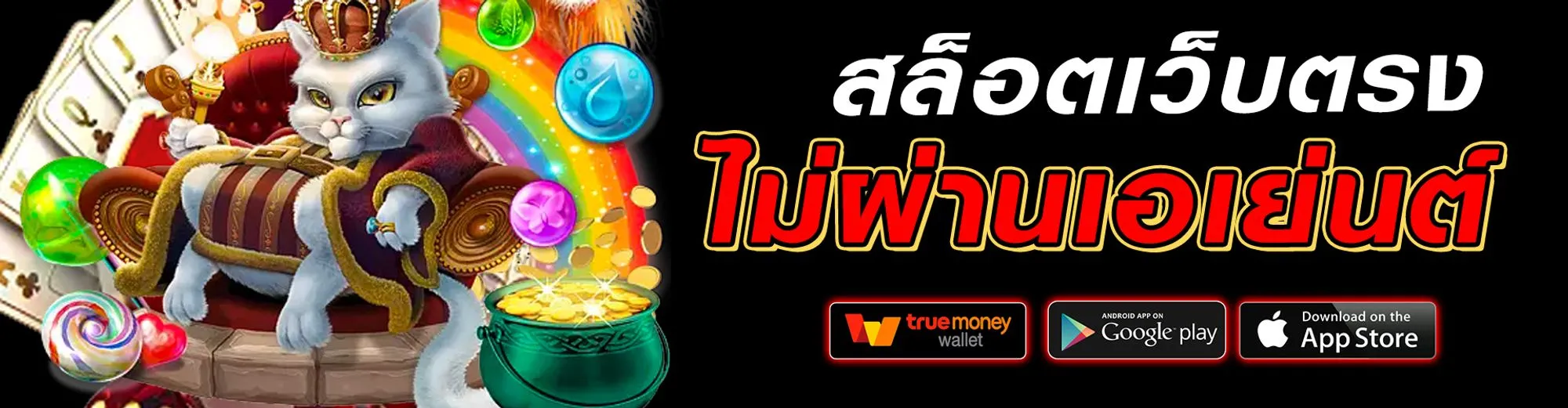betdog